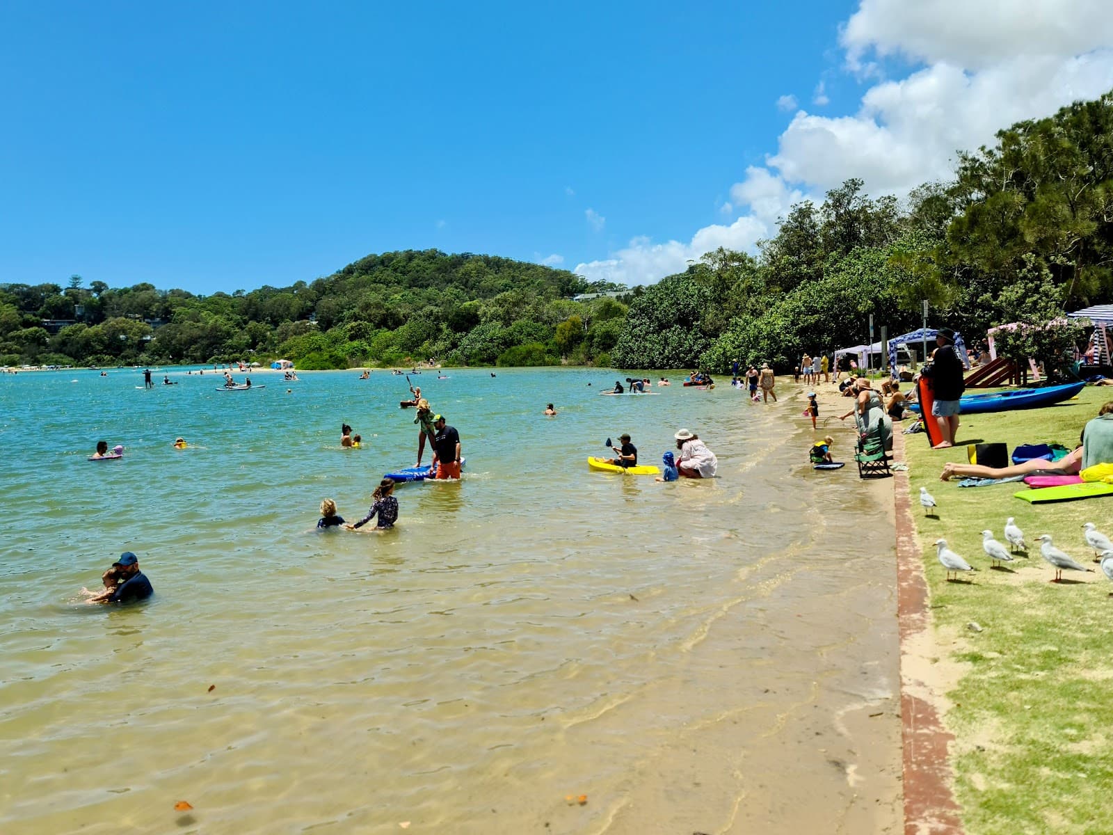 Palm Beach Parklands — Currumbin, Gold Coast