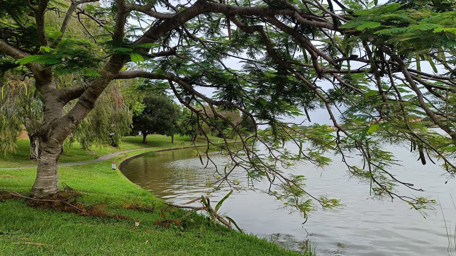 Bel Air Park — Mermaid Beach, Gold Coast