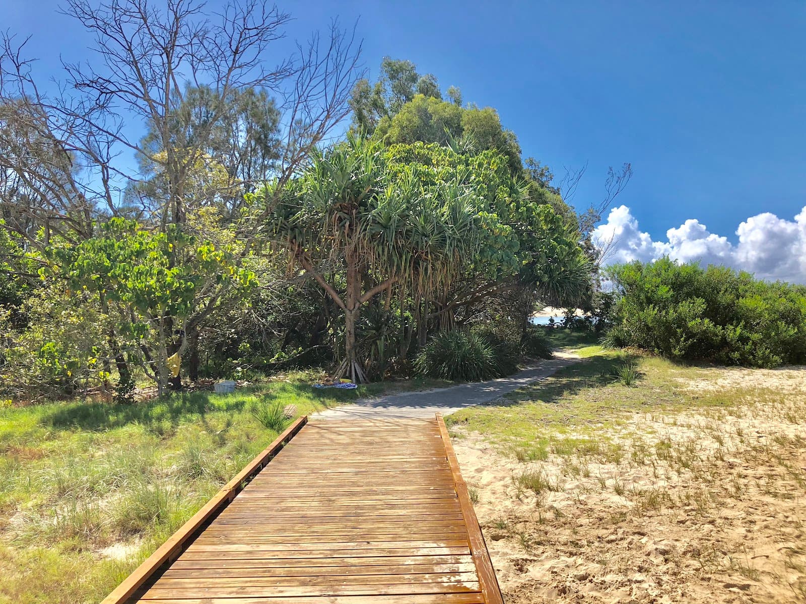 Tarrabora Reserve — Currumbin, Gold Coast