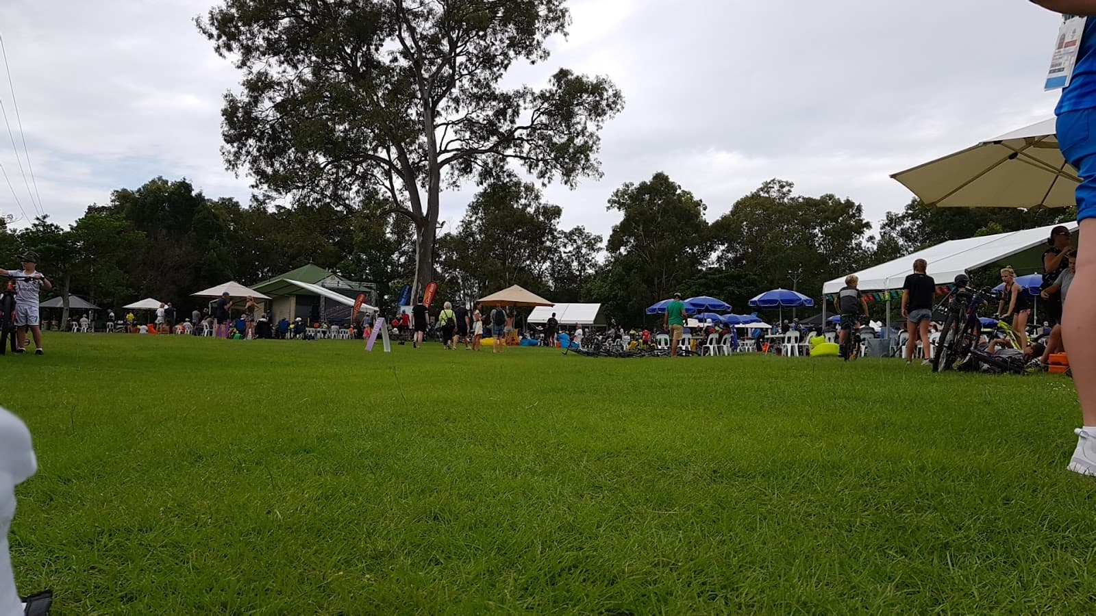 Rotary Park (Palm Beach) — Palm Beach, Gold Coast