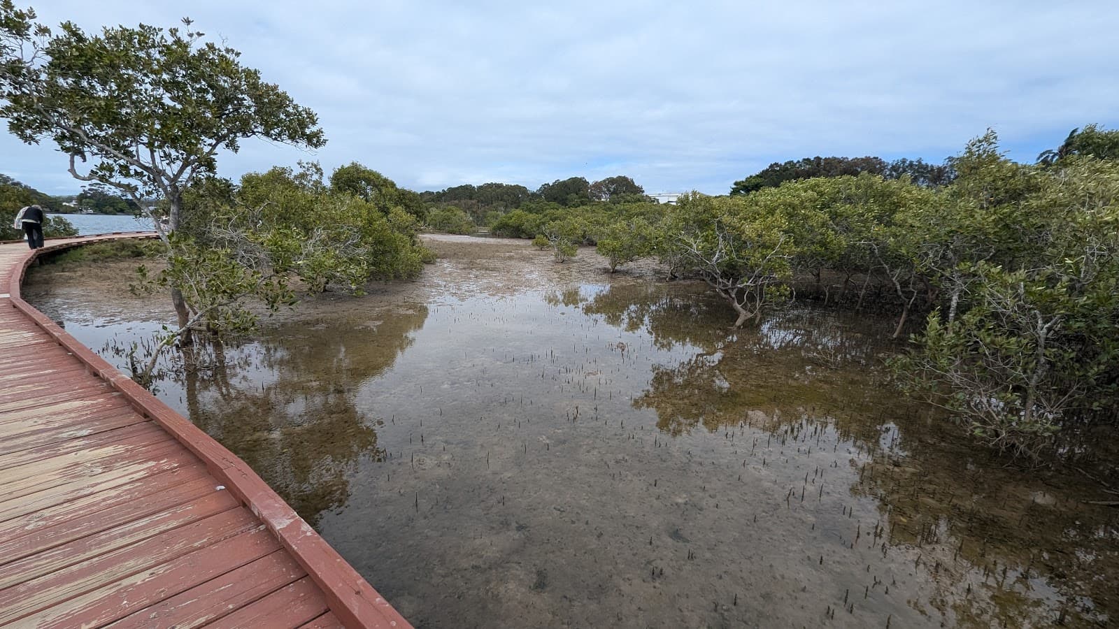 Beree-Badalla Reserve — Currumbin, Gold Coast