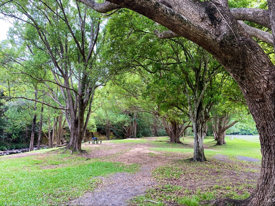 Long Tan Park — Currumbin, Gold Coast