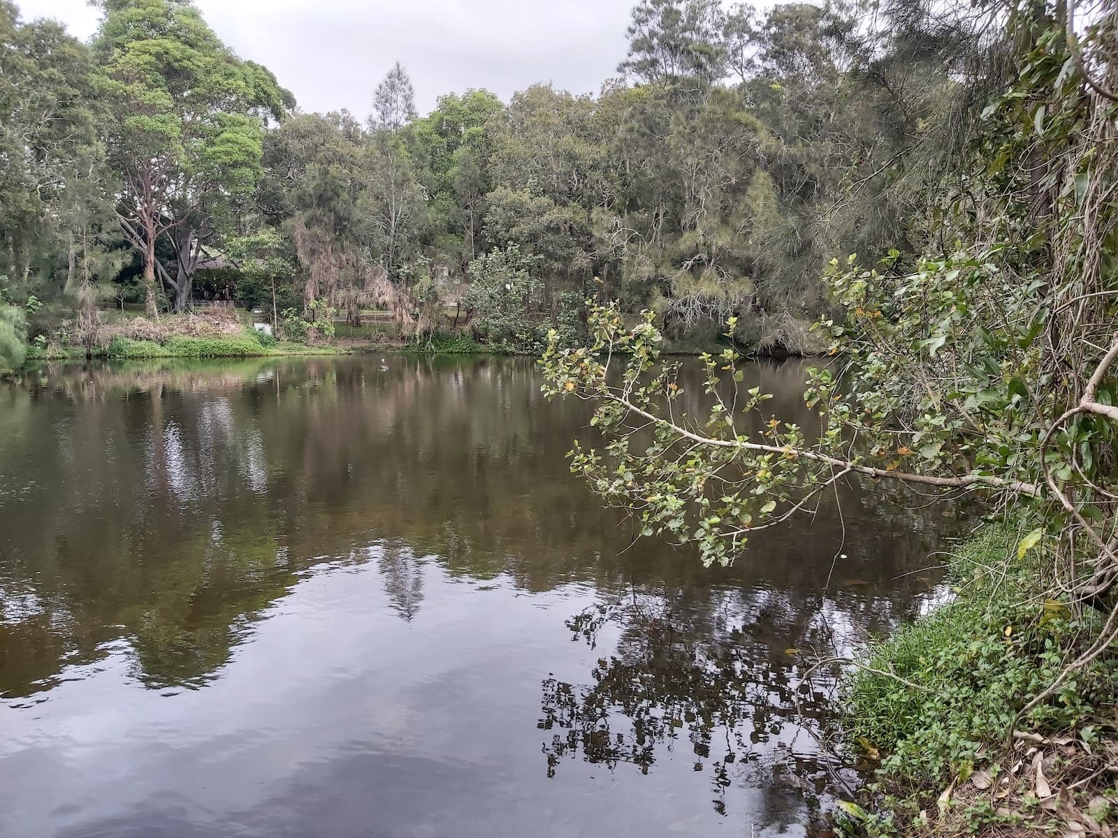 Alex Griffiths Park — Currumbin, Gold Coast