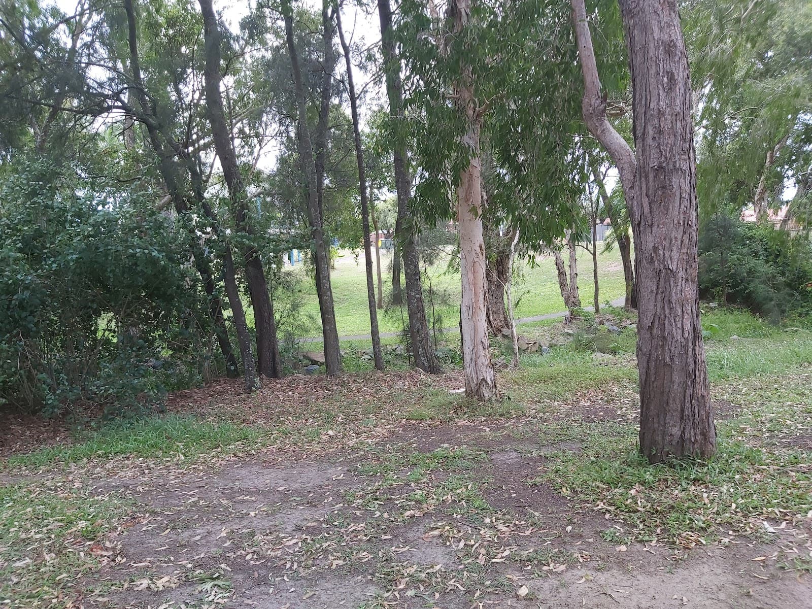 Marlay Park — Robina, Gold Coast