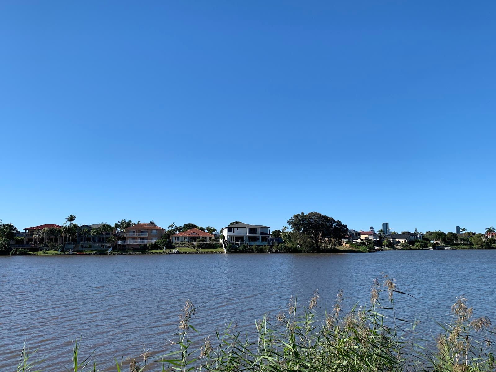 Robina Parkway Park Fenced Dog Park — Robina, Gold Coast
