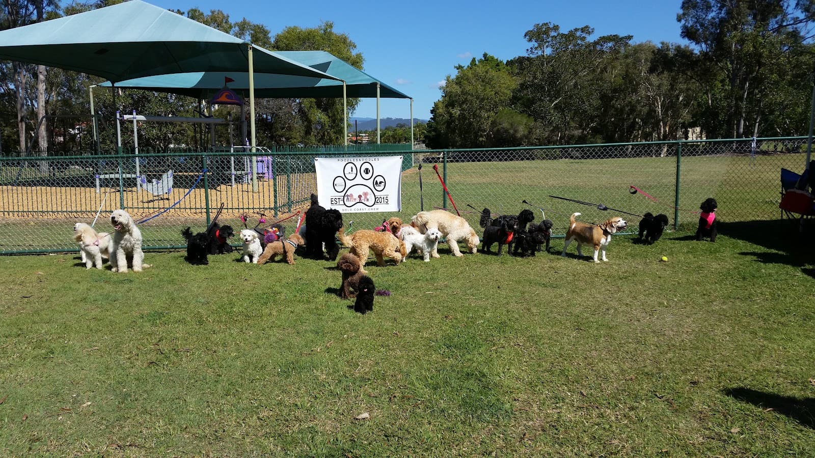 Robina Common Fenced Dog Park — Robina, Gold Coast