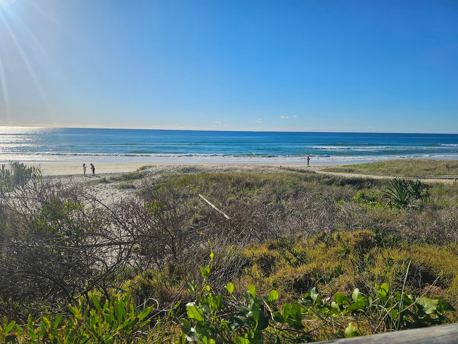 Thorn Park — Miami, Gold Coast