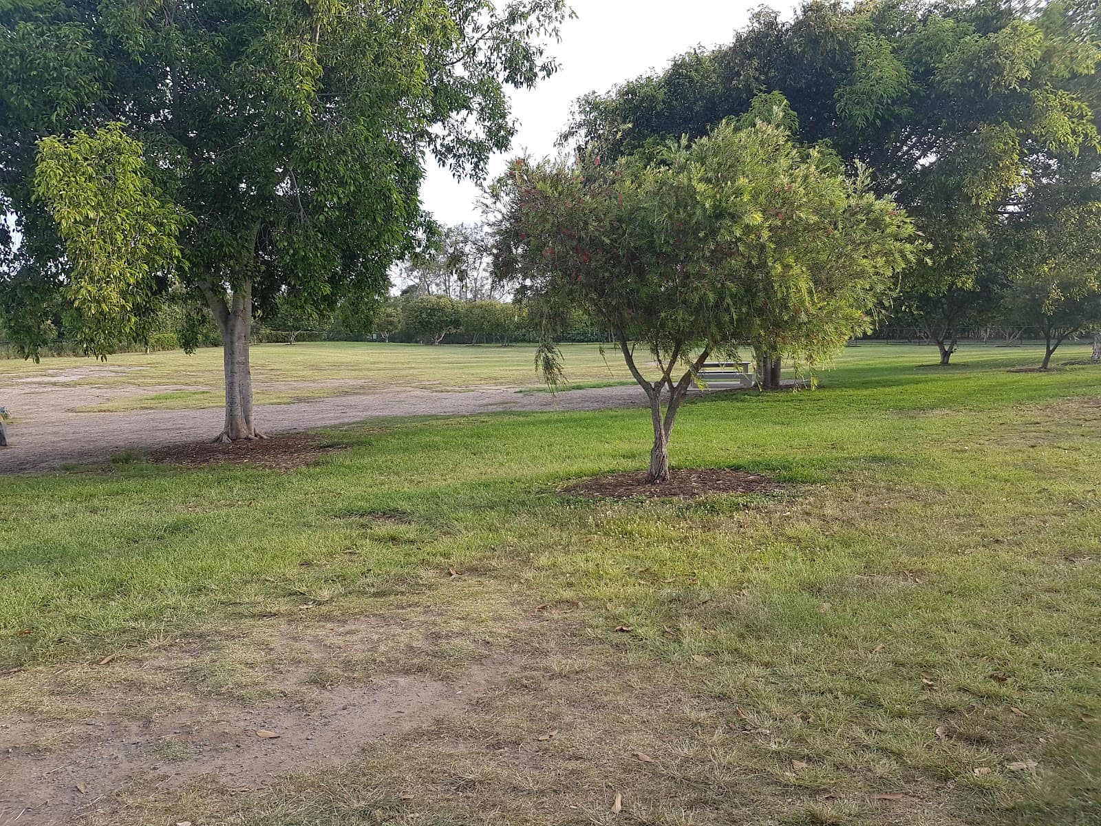 Saltwater Park — Hope Island, Gold Coast