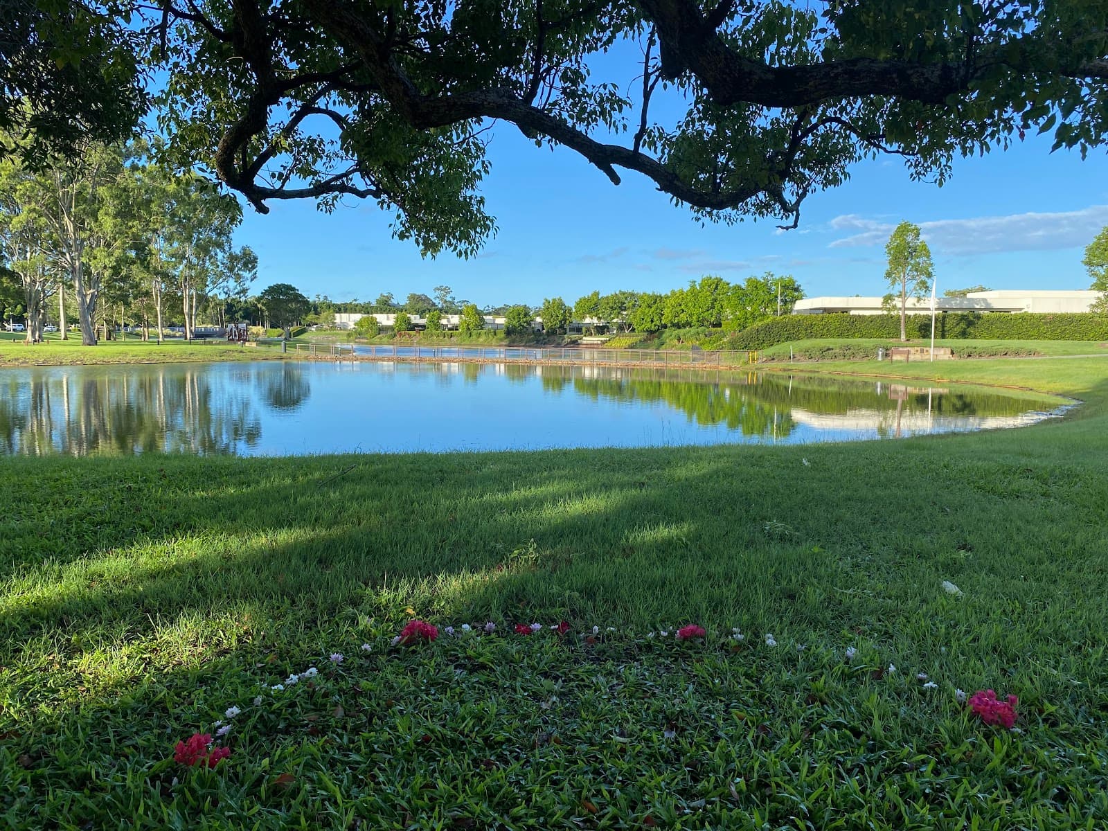 Jenny Parker Place — Hope Island, Gold Coast