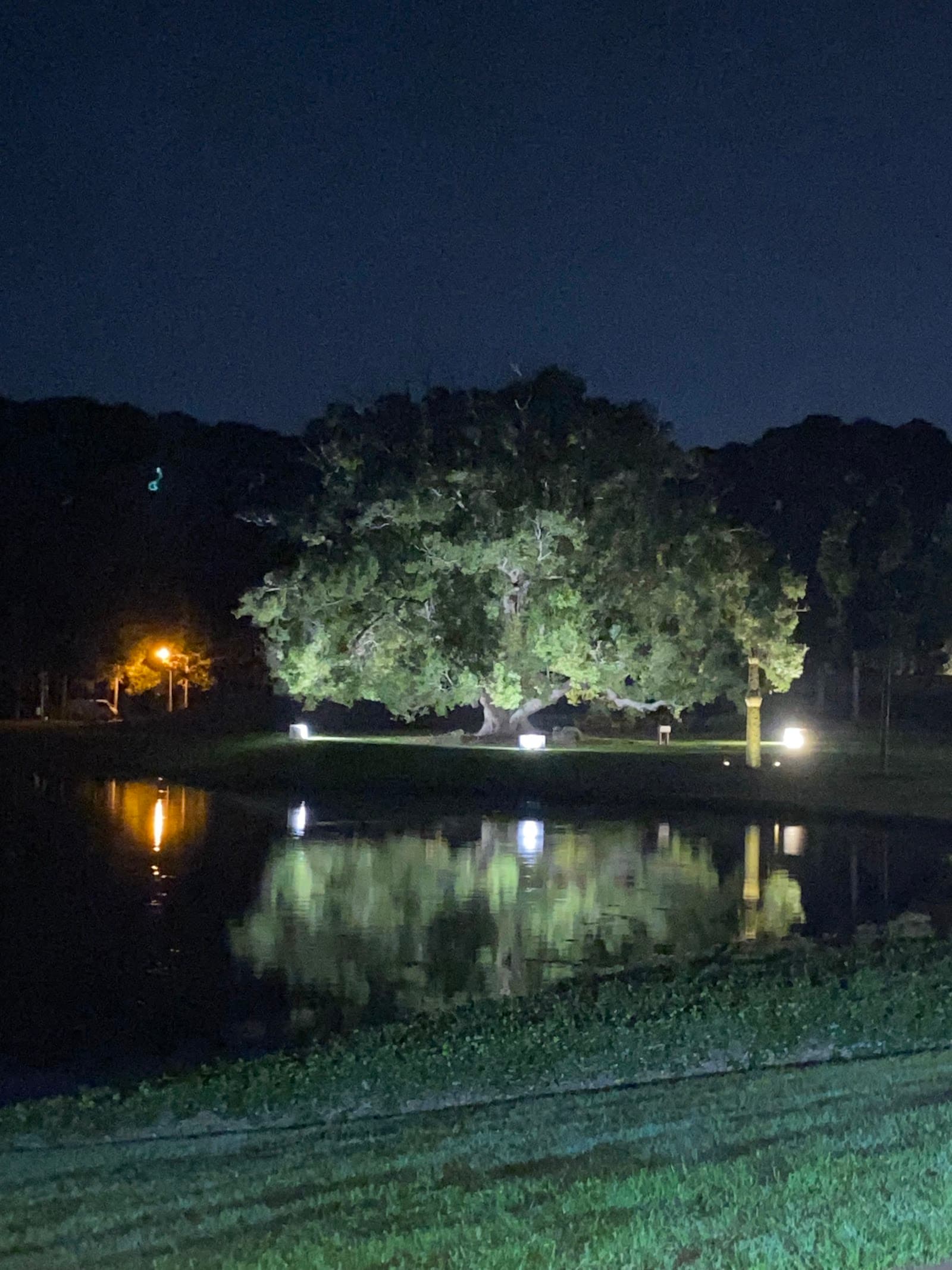Jenny Parker Place — Hope Island, Gold Coast