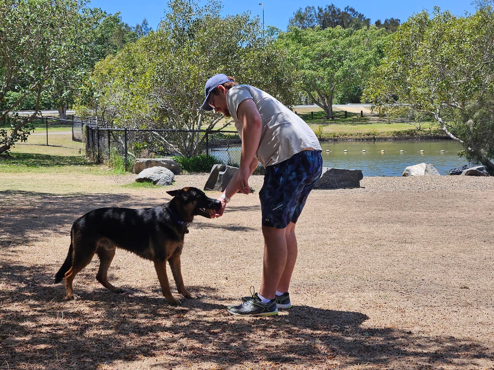 Saltwater Fenced Dog Park — Hope Island, Gold Coast