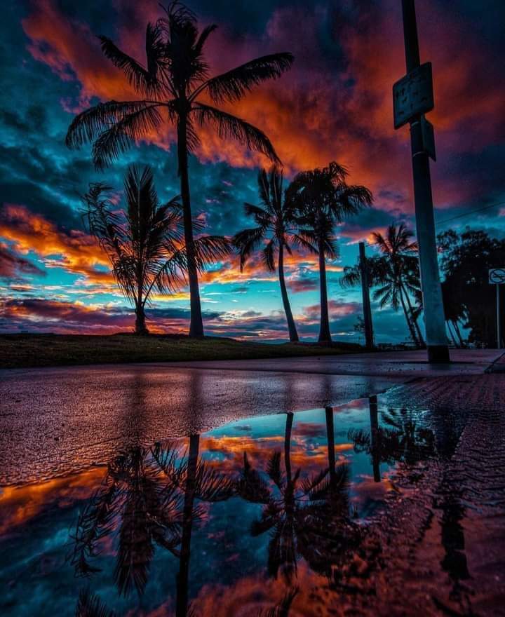 Budds Beach — Palm Beach, Gold Coast