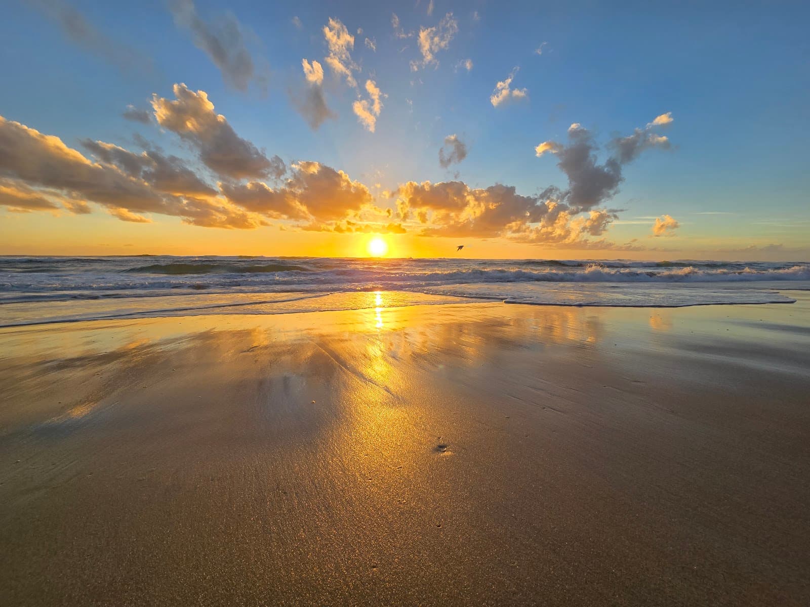 Gold Coast beach — Robina, Gold Coast