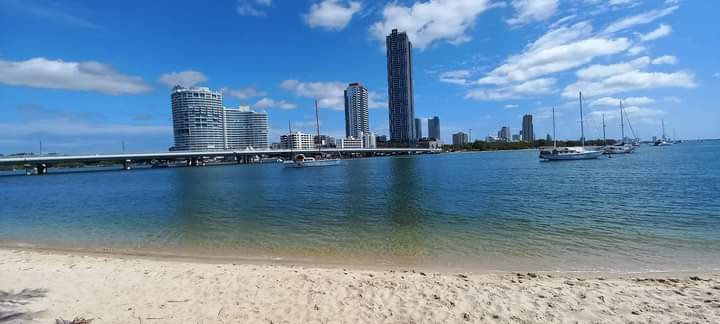 Pelican Beach — Palm Beach, Gold Coast