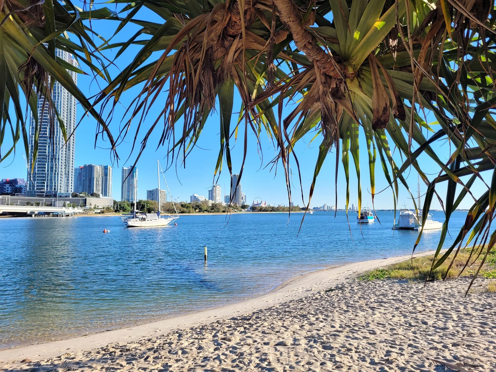 Pelican Beach — Palm Beach, Gold Coast