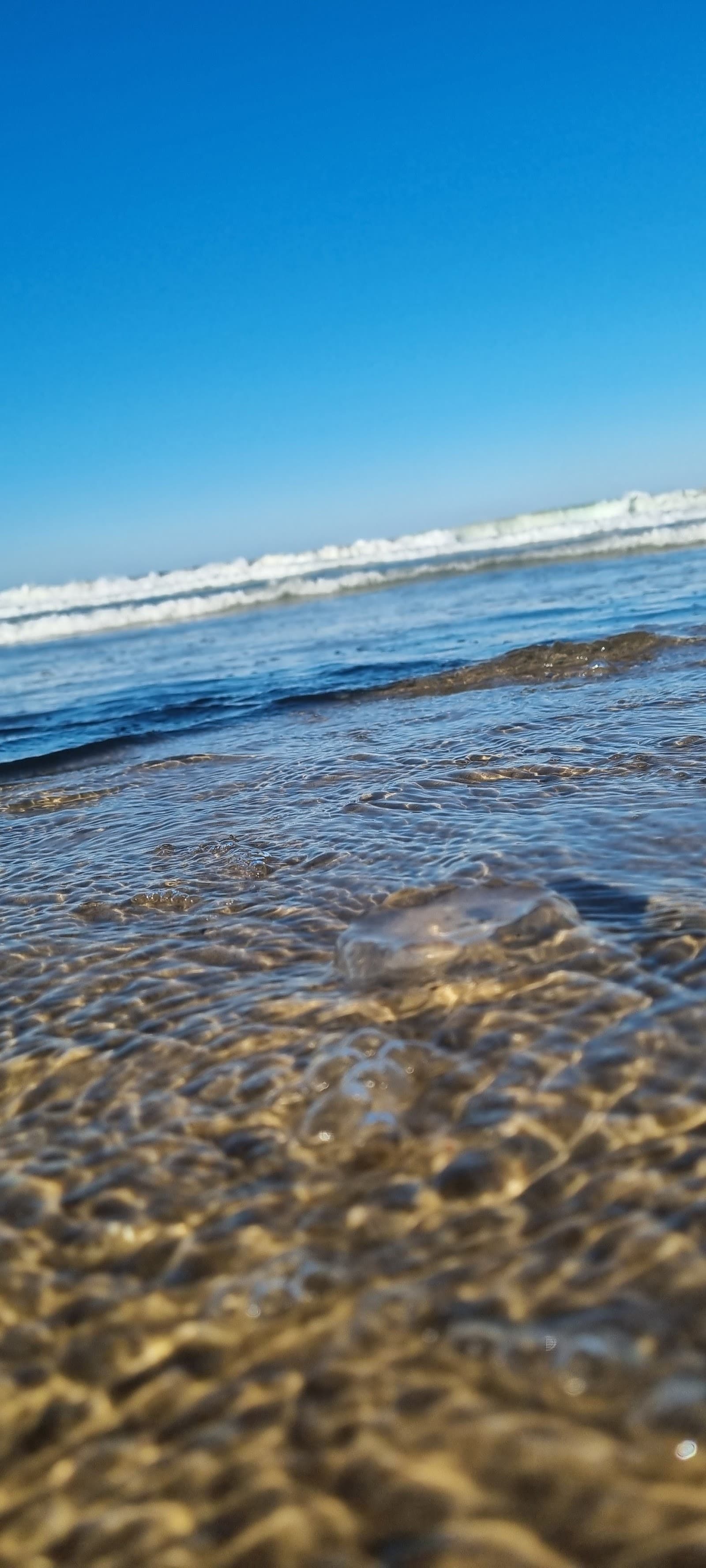 Nobby Beach 🏝️ — Miami, Gold Coast