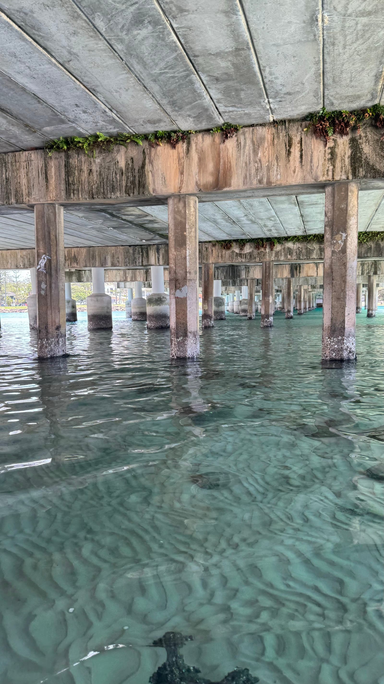 Tallebudgera Creek Beach — Burleigh Heads, Gold Coast