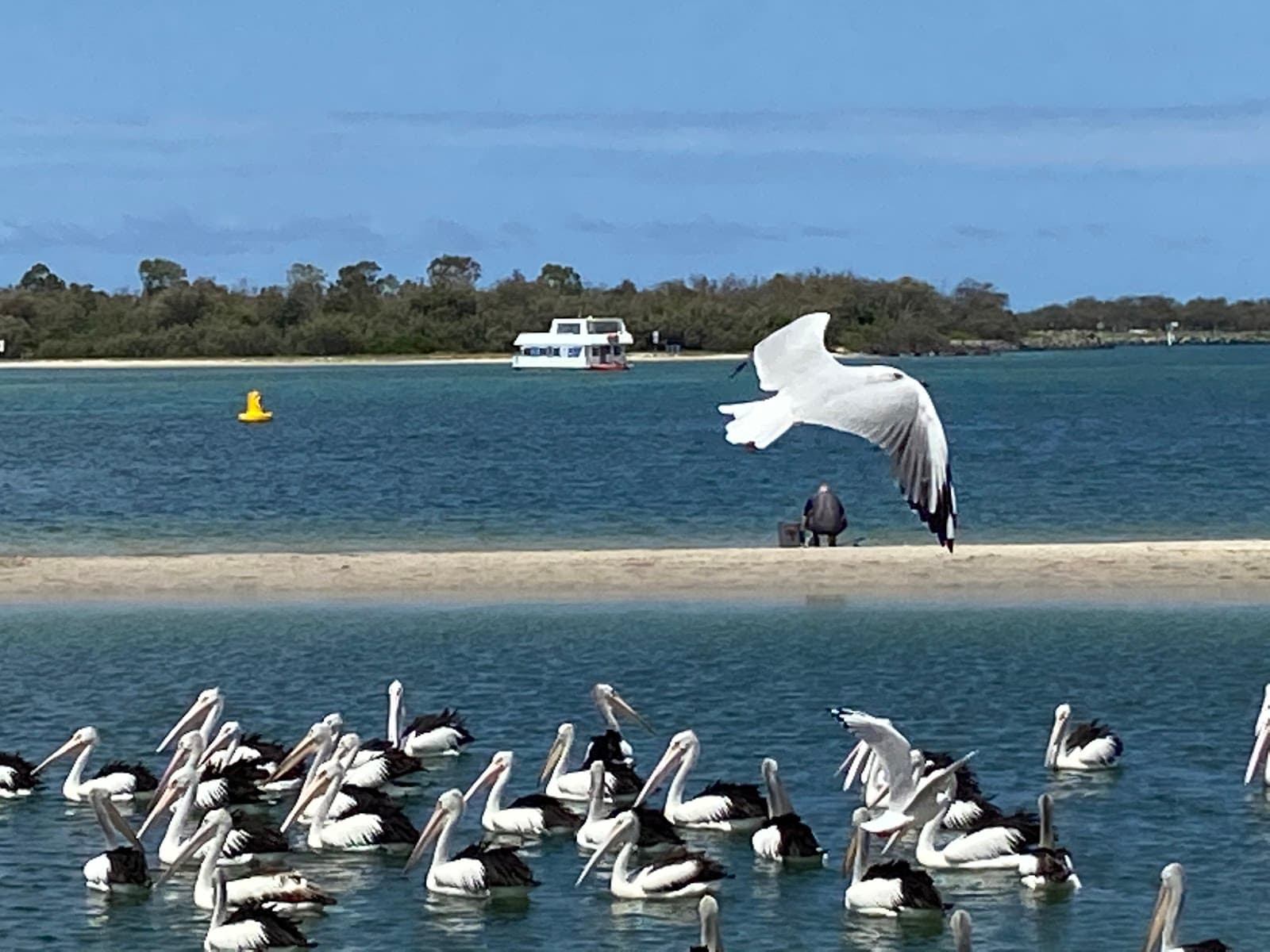 Labrador Beach — Hope Island, Gold Coast