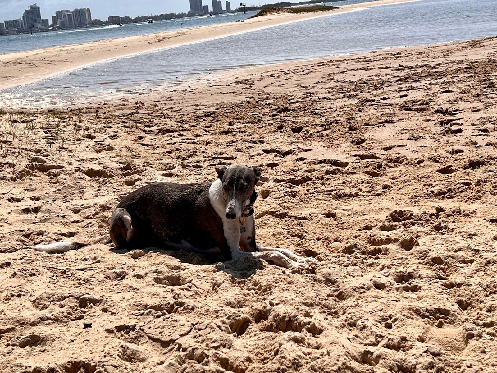 Swimming Lagoon — Southport, Gold Coast