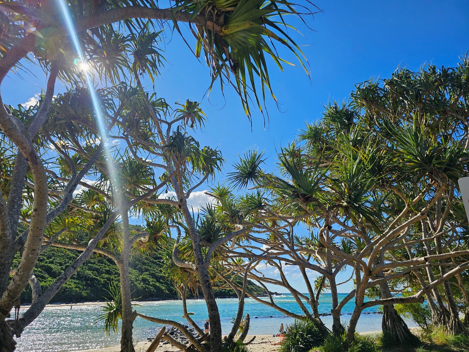 Gold Coast Fishing Spots — Palm Beach, Gold Coast