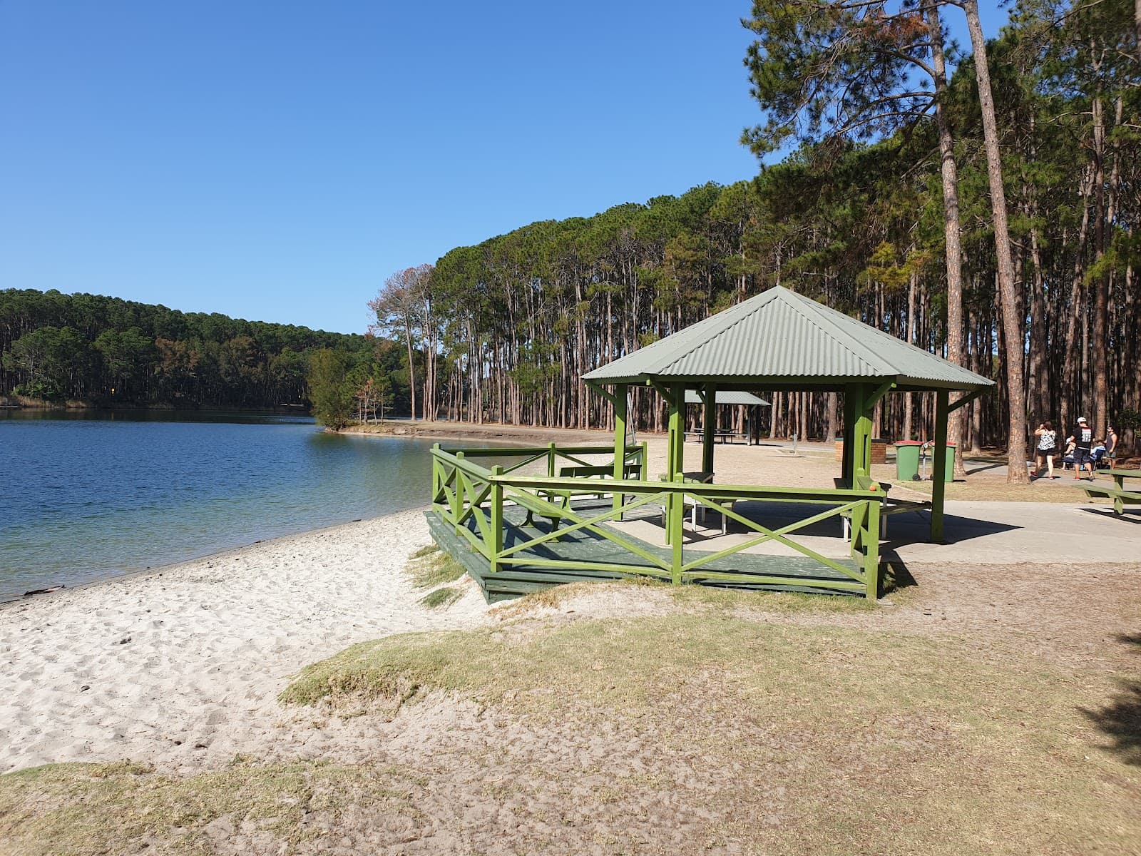 Pizzey Offleash Dog Area — Mermaid Beach, Gold Coast