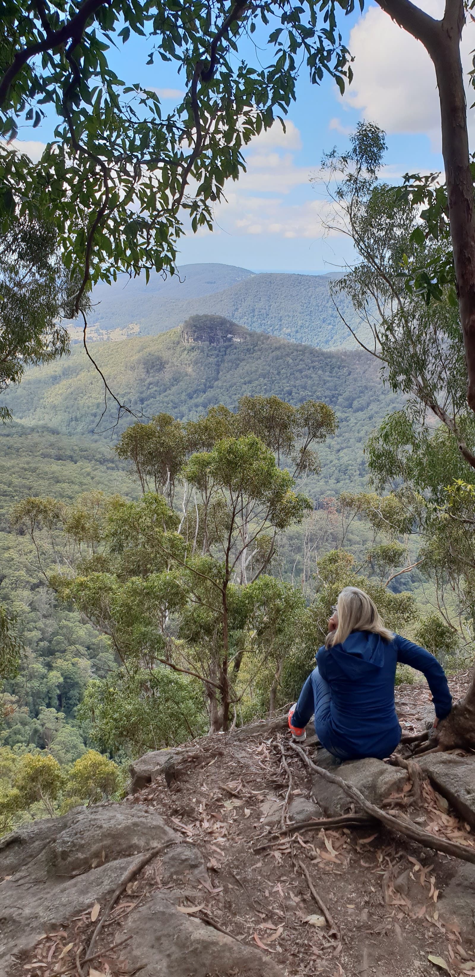 Gold Coast Great Walk - Binna Burra Trailhead — Hope Island, Gold Coast