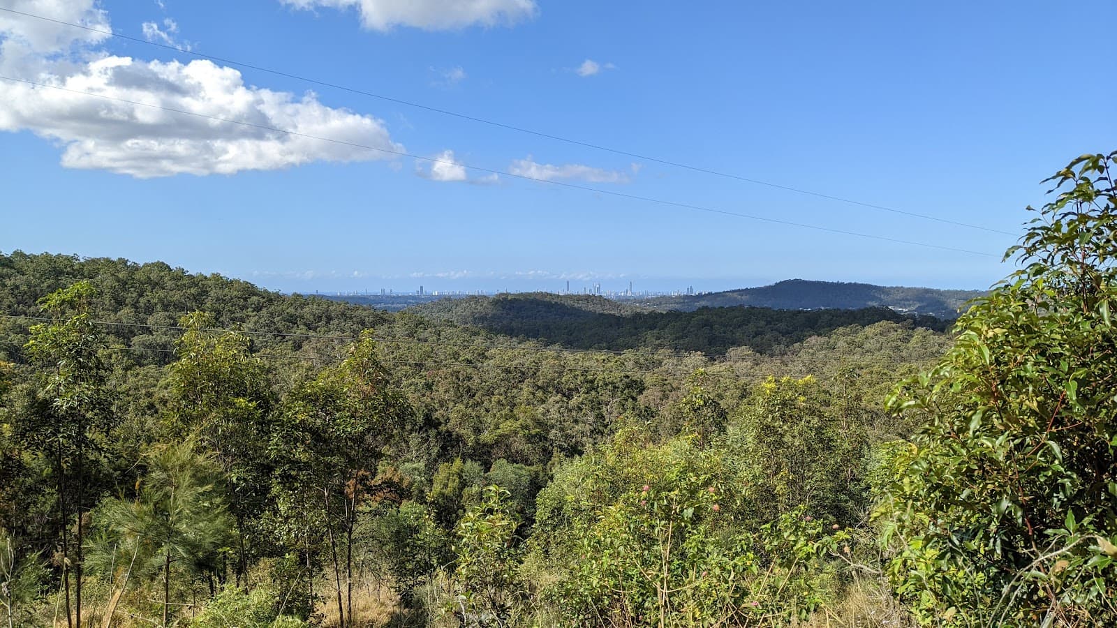 Nerang Conservation Park — Robina, Gold Coast