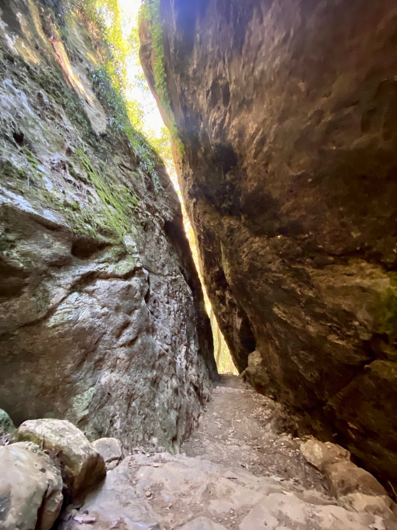 Twin Falls — Robina, Gold Coast