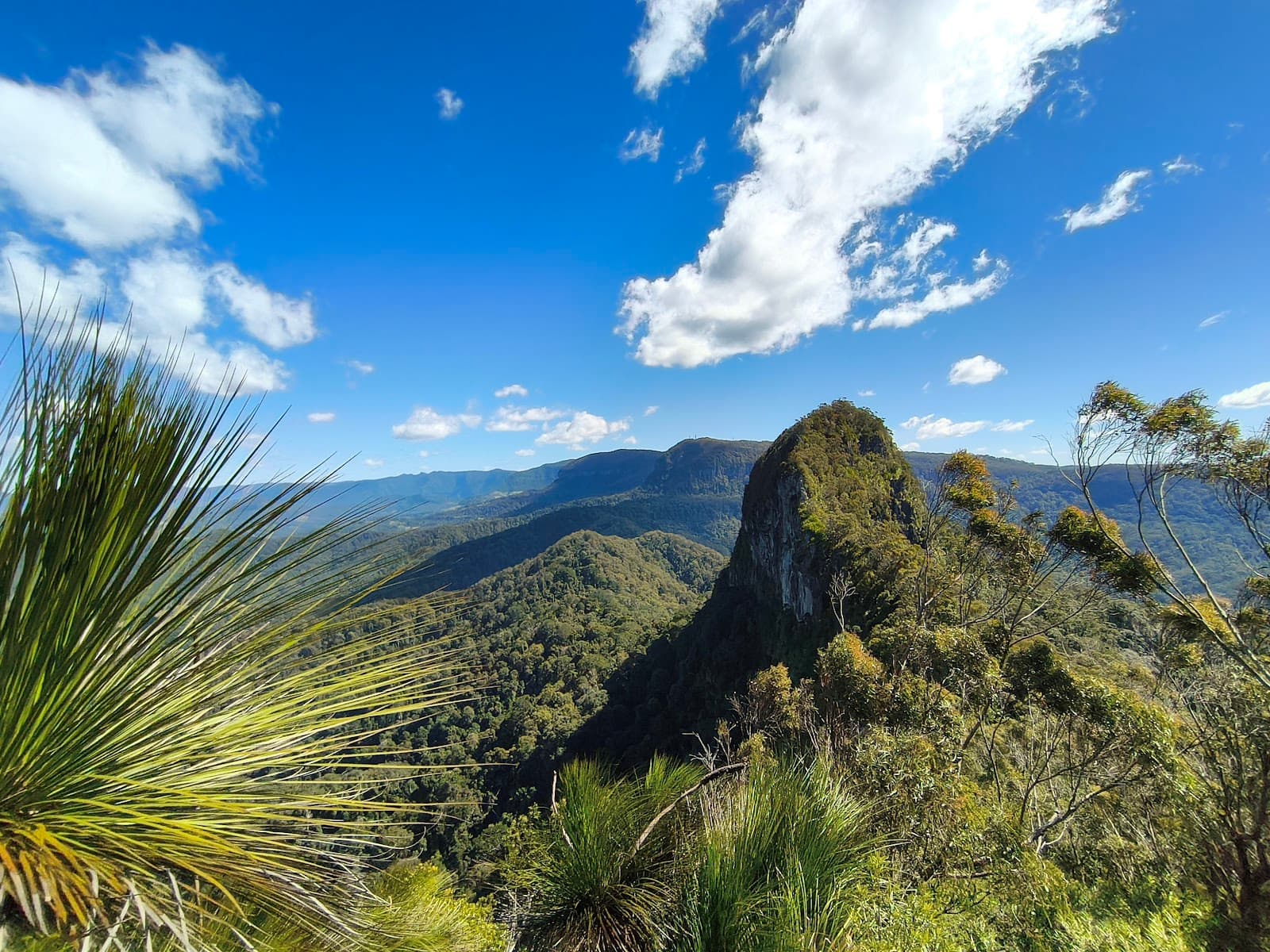 Mount Cougal — Currumbin, Gold Coast