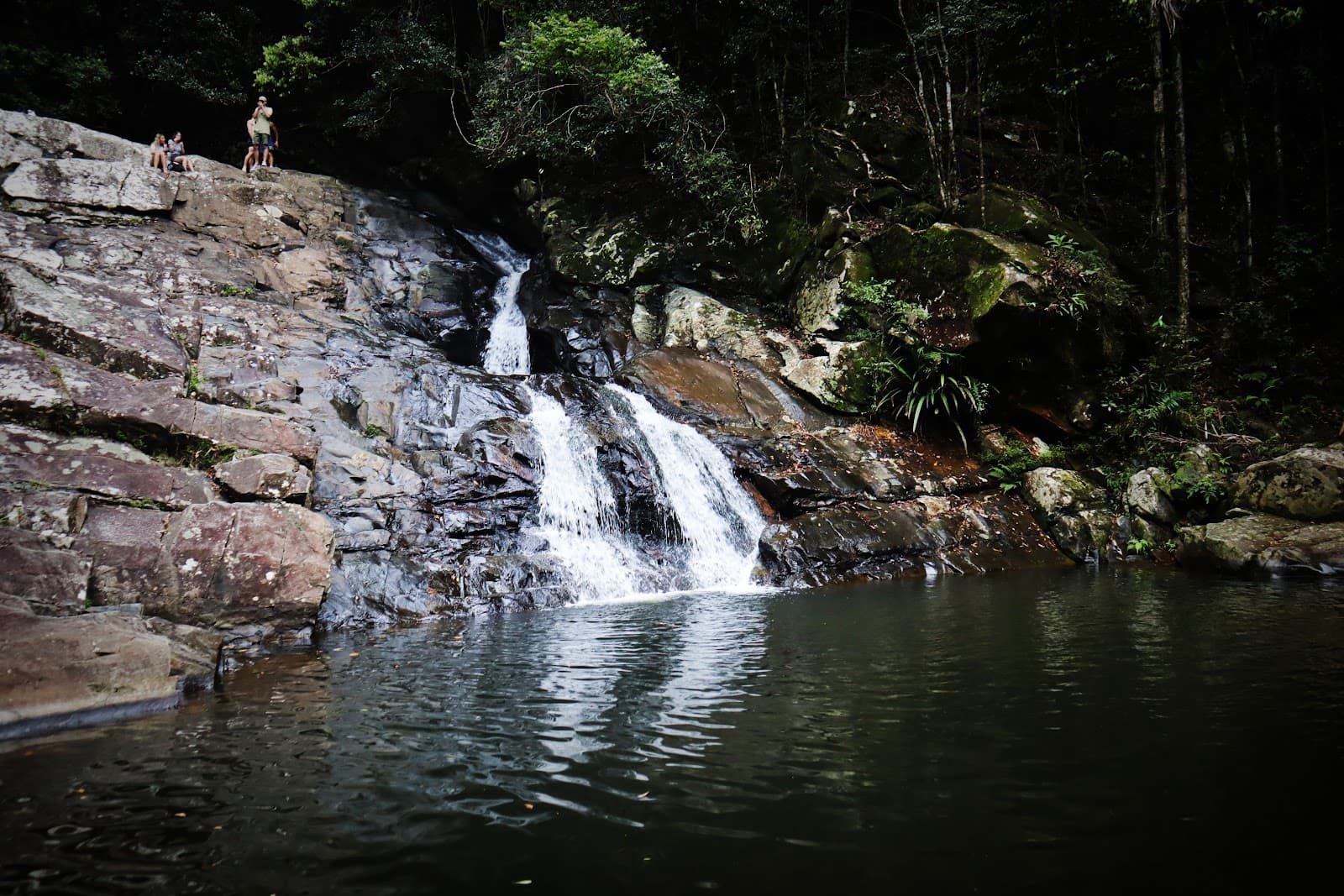 Cougal Cascade — Currumbin, Gold Coast