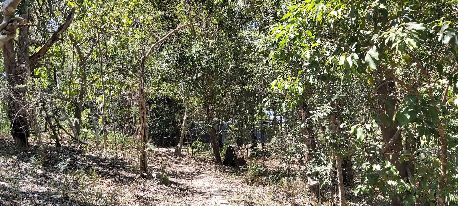 Tugun Hill Conservation Area — Currumbin, Gold Coast