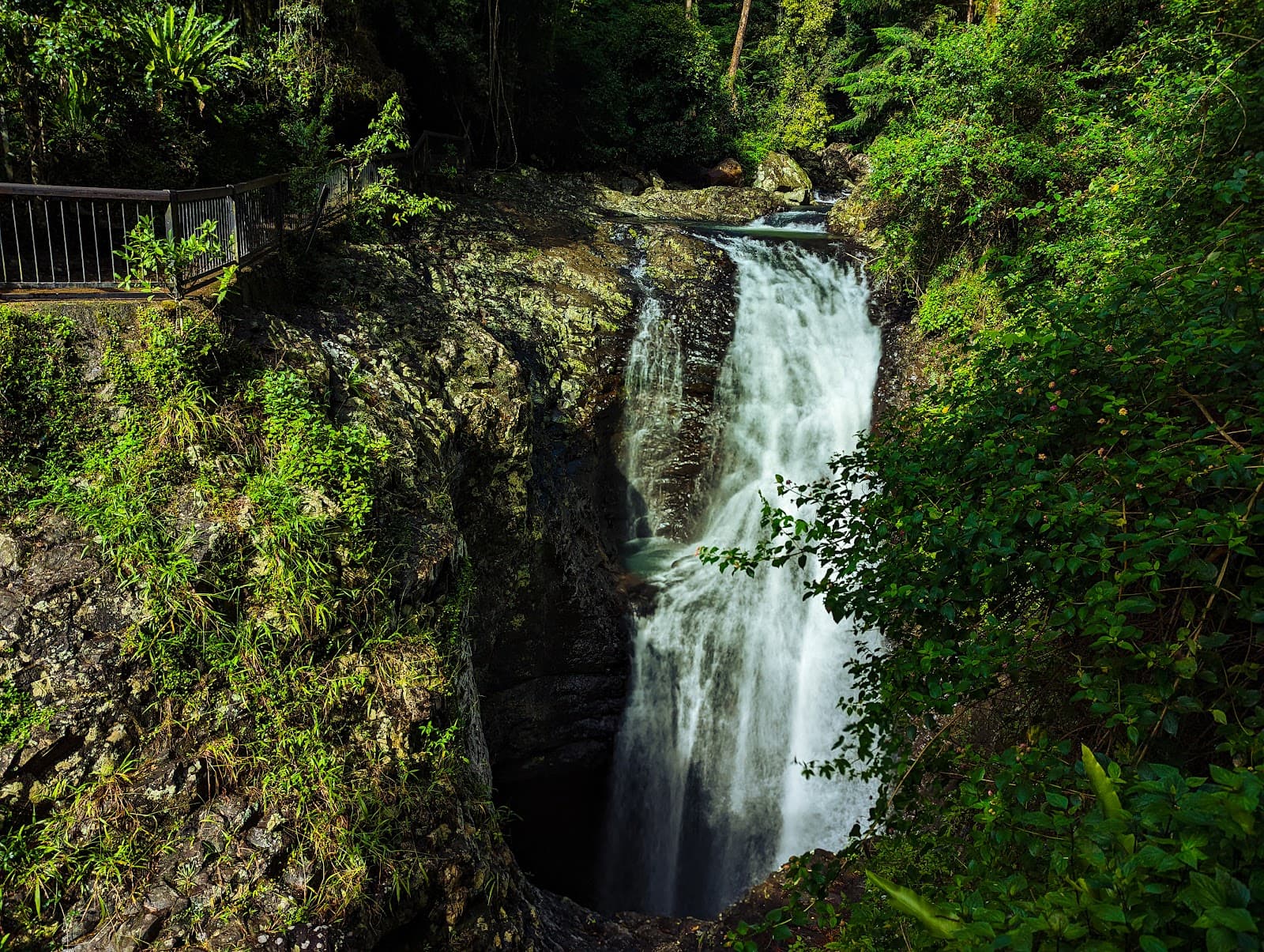Natural Bridge, Springbrook National Park — Robina, Gold Coast