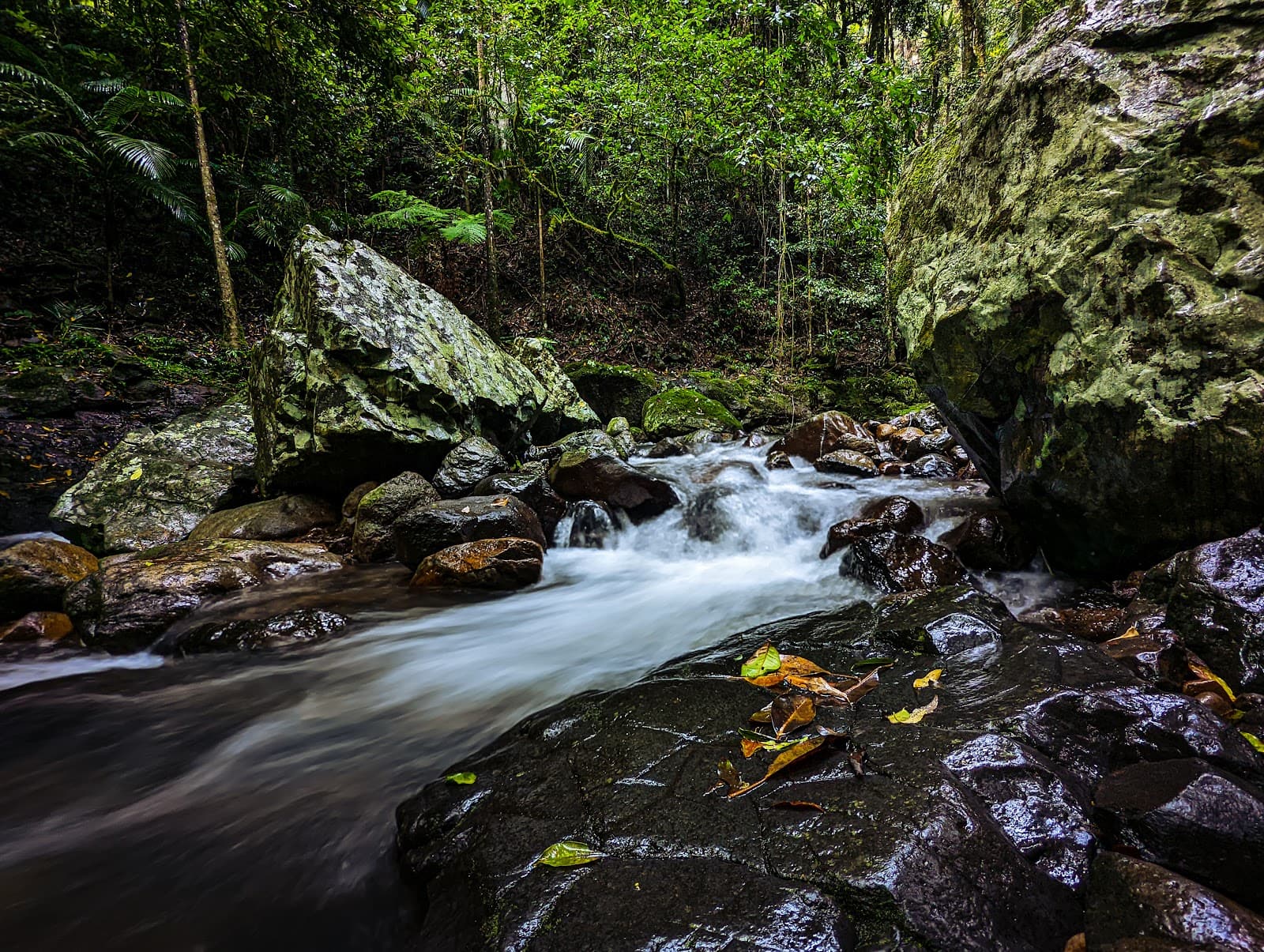 Natural Bridge, Springbrook National Park — Robina, Gold Coast