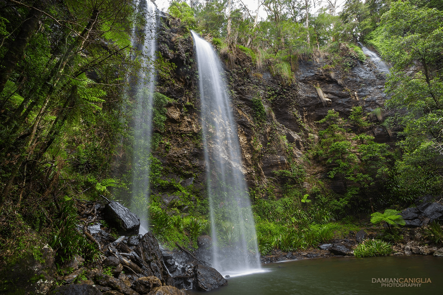 Springbrook National Park — Robina, Gold Coast