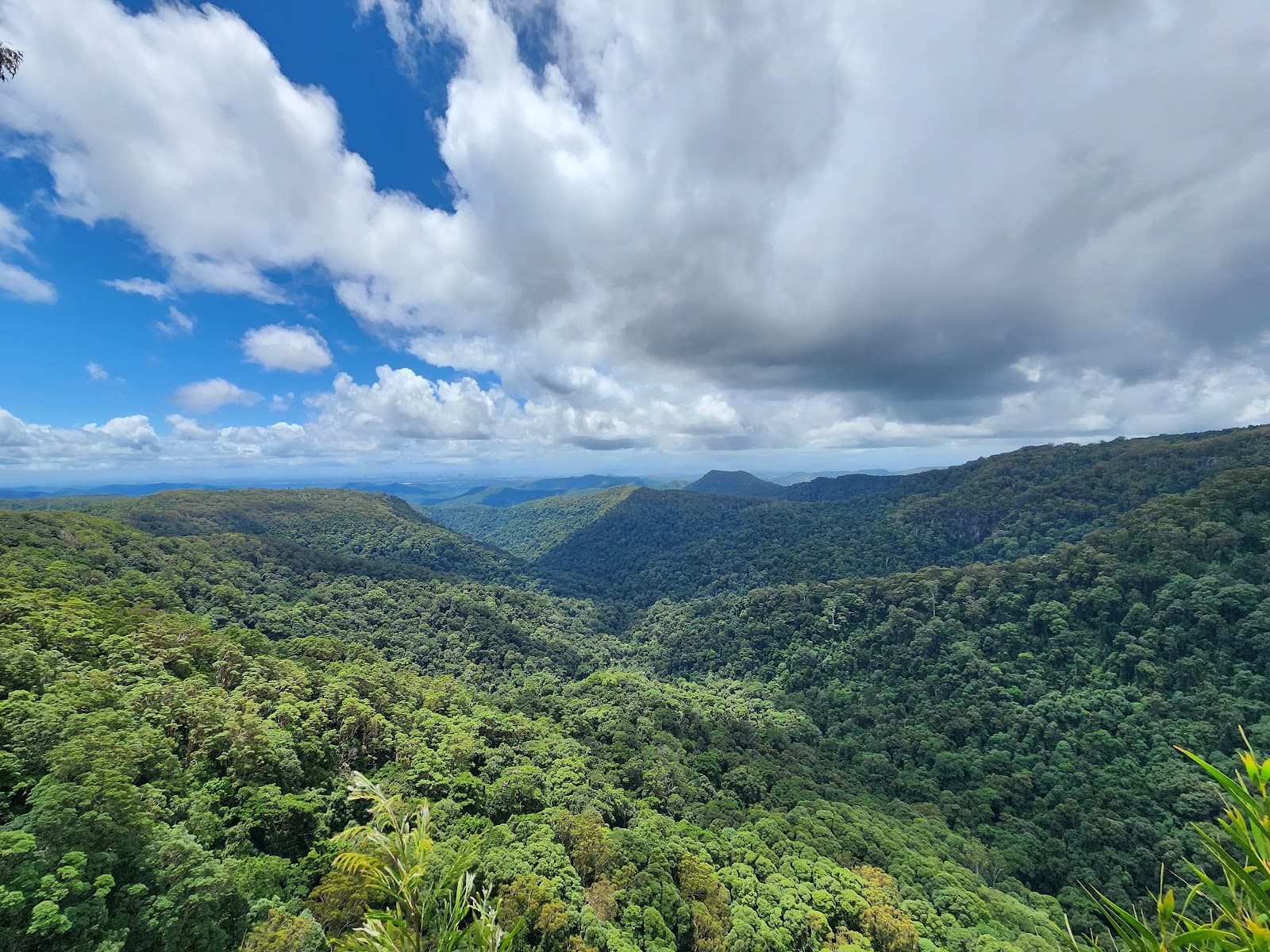 Springbrook National Park — Robina, Gold Coast
