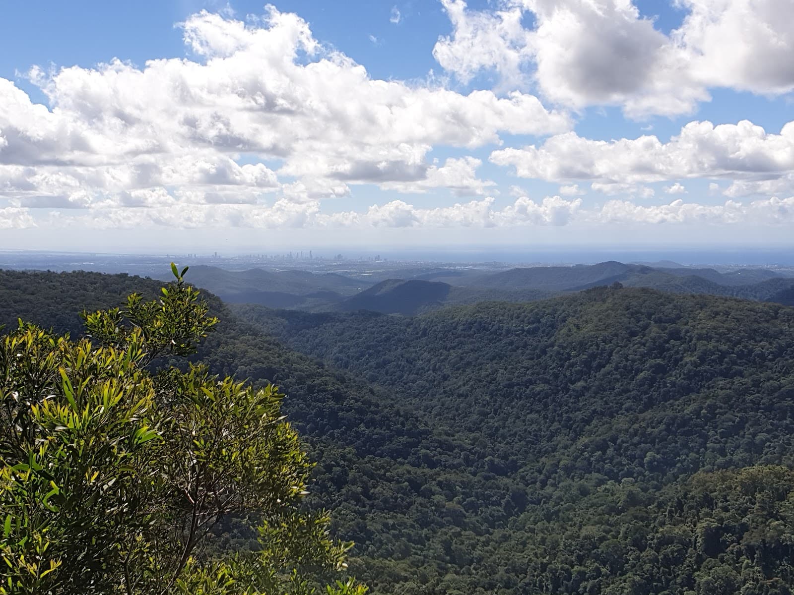 Springbrook National Park Canyon Lookout — Hope Island, Gold Coast