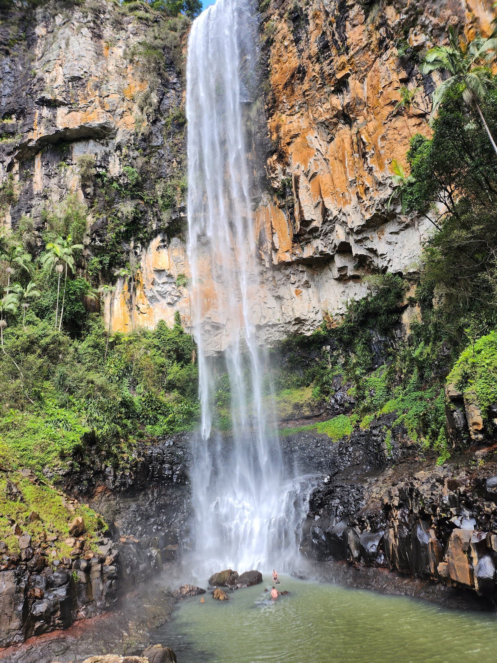 Purling Brook Falls, Springbrook National Park — Robina, Gold Coast