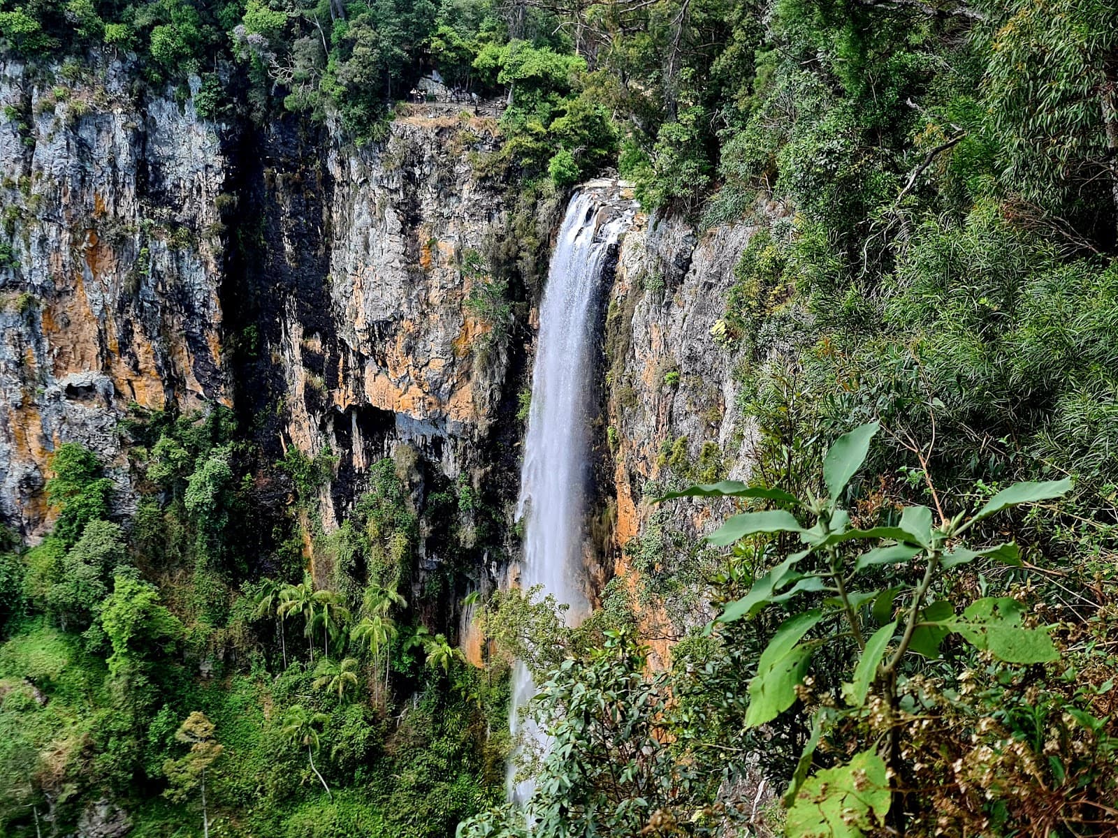 Purling Brook Falls, Springbrook National Park — Robina, Gold Coast