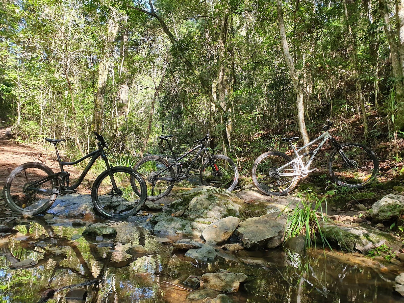 Nerang National Park — Robina, Gold Coast