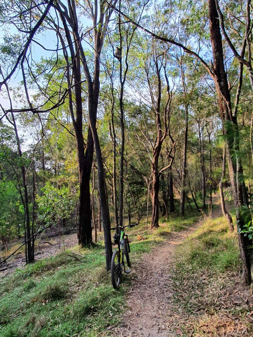Glossy Black Reserve Mountain Bike Trails — Robina, Gold Coast