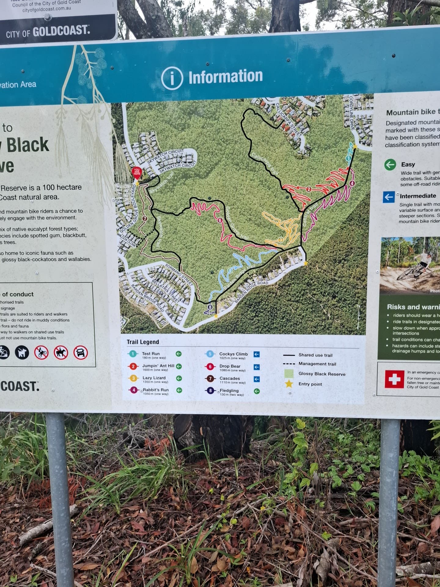 Glossy Black Reserve Mountain Bike Trails — Robina, Gold Coast