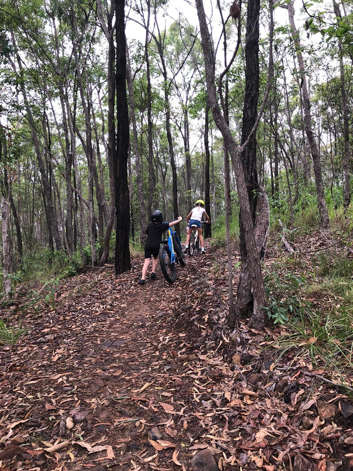 Glossy Black Reserve Mountain Bike Trails — Robina, Gold Coast