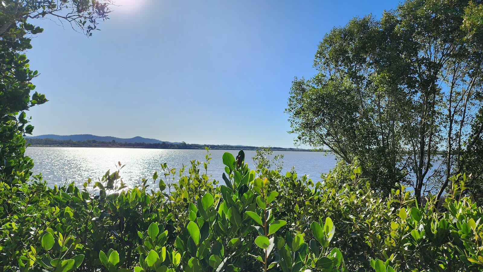 Coombabah Reserve & Mangrove Walk — Hope Island, Gold Coast