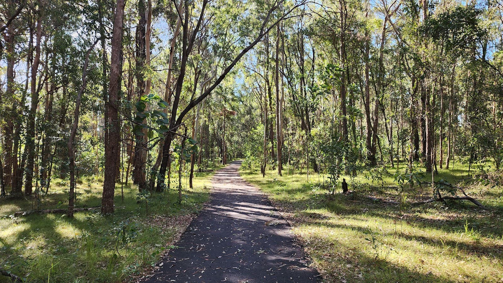 Coombabah Reserve & Mangrove Walk — Hope Island, Gold Coast