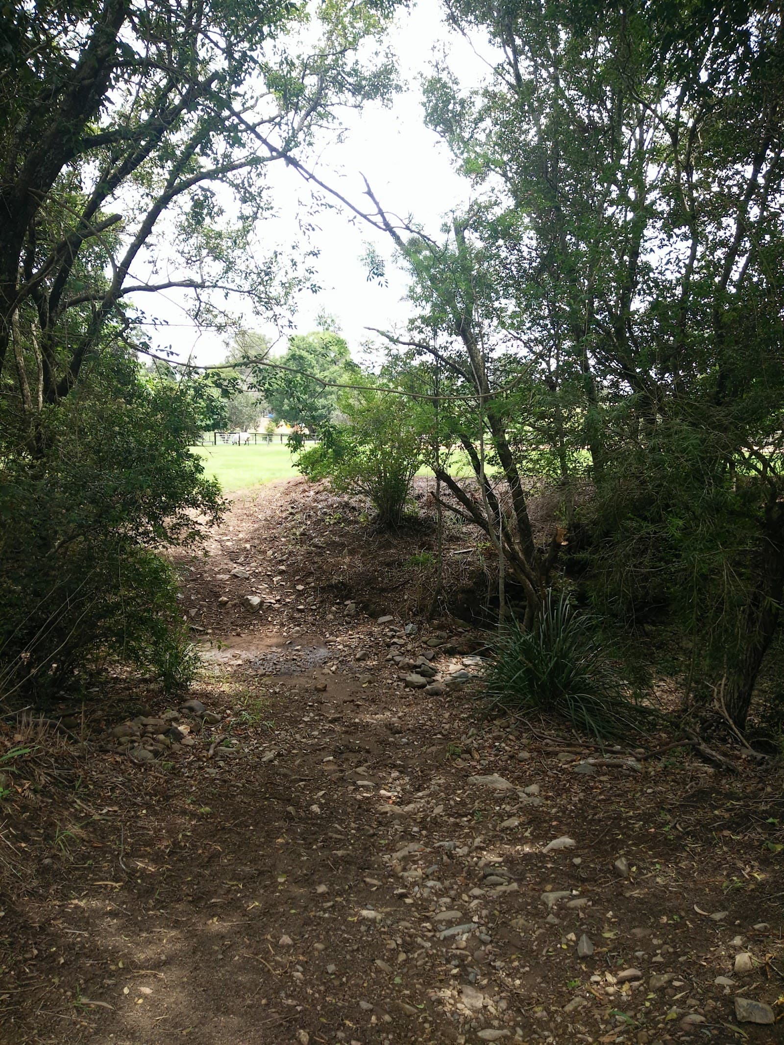 Willow Vale Recreational Trail — Hope Island, Gold Coast