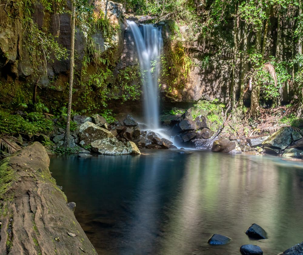 Curtis Falls Walking Track — Hope Island, Gold Coast