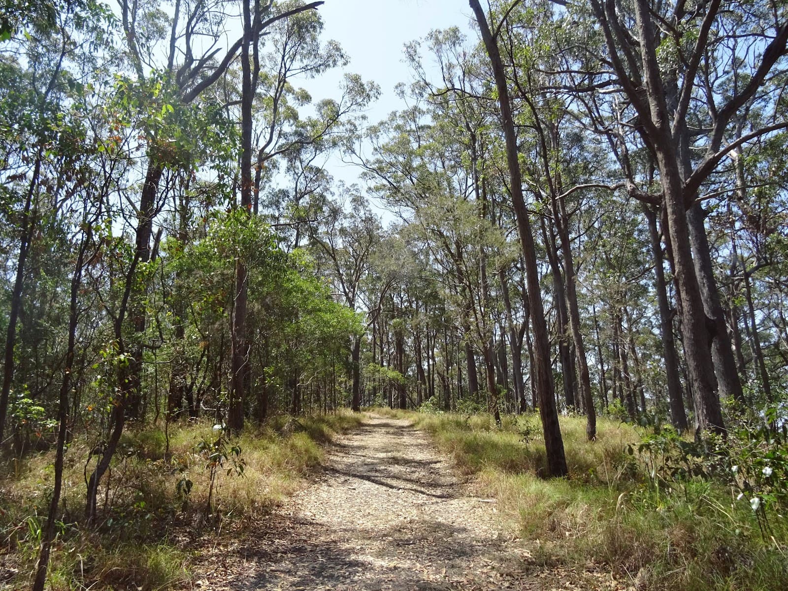 Freeman's Lookout — Robina, Gold Coast