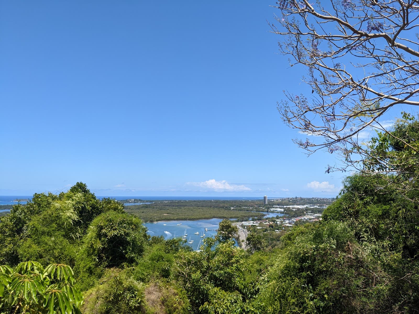 Tom Beatson Outlook Razorback — Coolangatta, Gold Coast