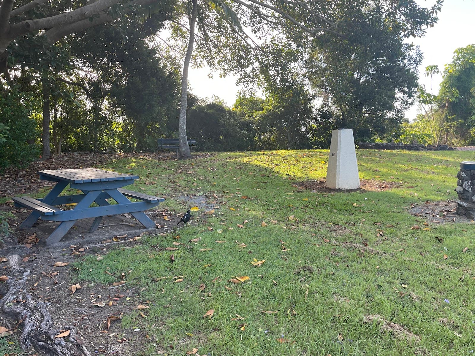 Tom Beatson Outlook Razorback — Coolangatta, Gold Coast