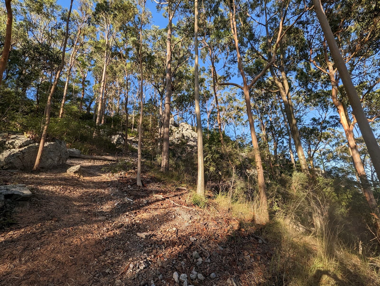 Little Mermaid lookout trailhead — Mermaid Beach, Gold Coast